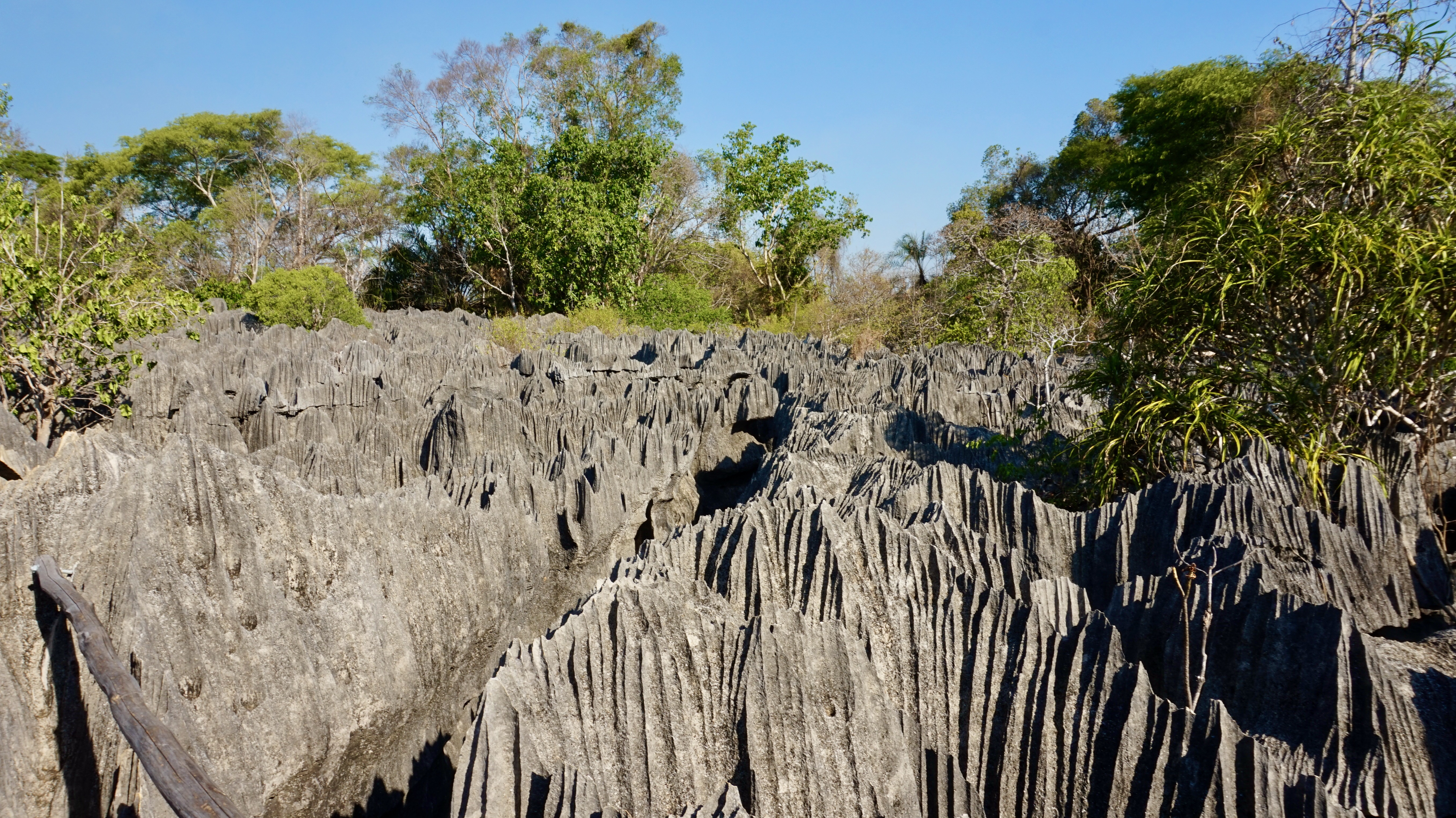 Tsingy de Bemaraha rock formations